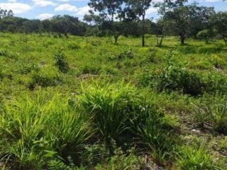 Área rural - januária-mg - rodovia federal br-479 - são joaquim