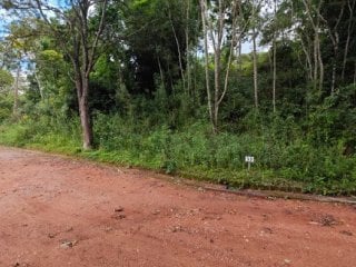 Área com 1.500 m² (lote 53) no condomínio sítio das hortênsias - são roque - sp