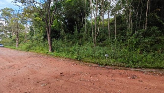 Foto - Área com 1.500 m² (Lote 53) no Condomínio Sítio das Hortênsias - São Roque - SP - [1]