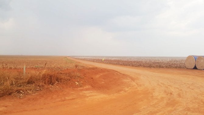 Foto - Direitos sobre Parte Ideal de Área Rural 195 ha - Fazenda Sabiá - Campos de Júlio - MT - [3]