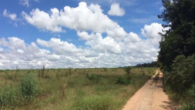 Foto - Imóvel Rural 1.068,7342 ha - Fazenda Guadalupe - Nova Maringá - MT - [1]