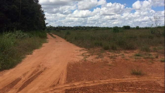 Foto - Imóvel Rural 1.068,7342 ha - Fazenda Guadalupe - Nova Maringá - MT - [3]