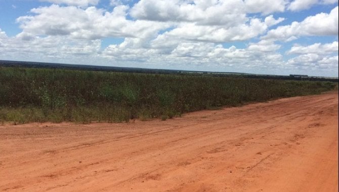 Foto - Imóvel Rural 1.068,7342 ha - Fazenda Guadalupe - Nova Maringá - MT - [4]