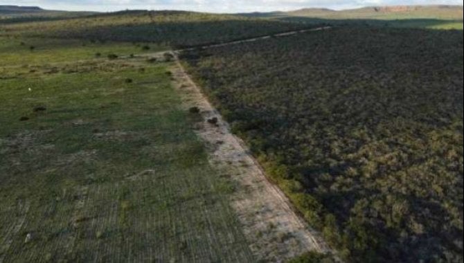 Foto - Direitos sobre Área Rural com 1.161 ha (Fazenda Voa lll) - Euclides da Cunha - BA - [6]