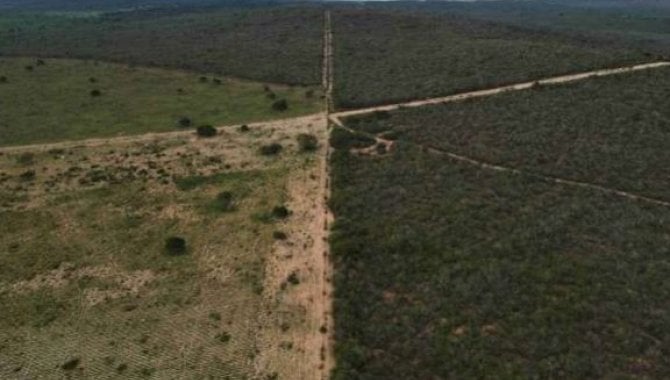 Foto - Direitos sobre Área Rural com 1.161 ha (Fazenda Voa lll) - Euclides da Cunha - BA - [10]