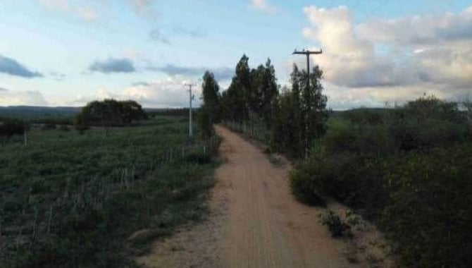 Foto - Direitos sobre Área Rural com 1.161 ha (Fazenda Voa lll) - Euclides da Cunha - BA - [9]