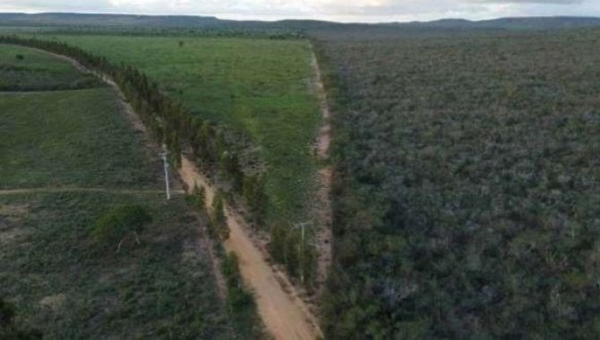 Foto - Direitos sobre Área Rural com 1.161 ha (Fazenda Voa lll) - Euclides da Cunha - BA - [3]