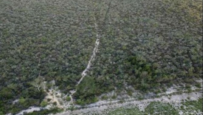 Foto - Direitos sobre Área Rural com 1.161 ha (Fazenda Voa lll) - Euclides da Cunha - BA - [8]