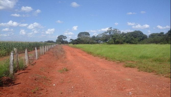 Foto - Área de Terras  19,00 Ha - Poconé - MT - [12]