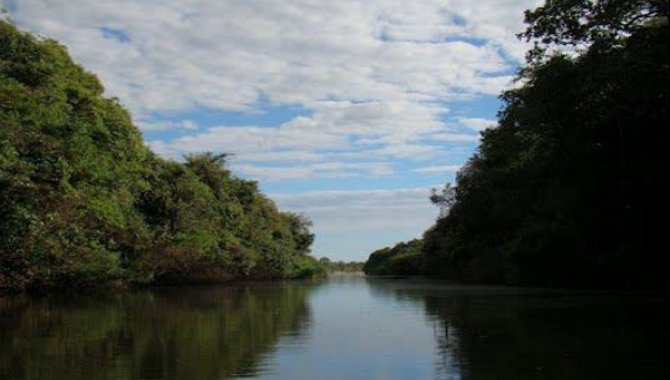 Foto - Área Rural 48.400 m² - Barrinhas - Lagoas da Confusão - TO - [1]