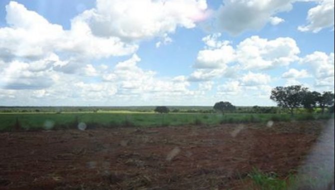 Foto - Área Rural 48.400 m² - Barrinhas - Lagoas da Confusão - TO - [6]