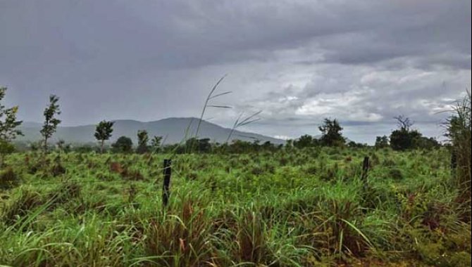 Foto - Imóvel Rural 2.176 ha - Mozarlândia - GO - [11]