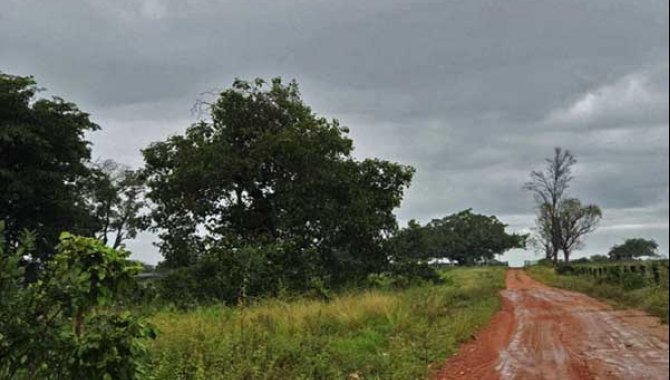 Foto - Imóvel Rural 2.176 ha - Mozarlândia - GO - [6]