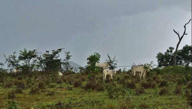 Foto - Imóvel Rural 2.176 ha - Mozarlândia - GO - [8]