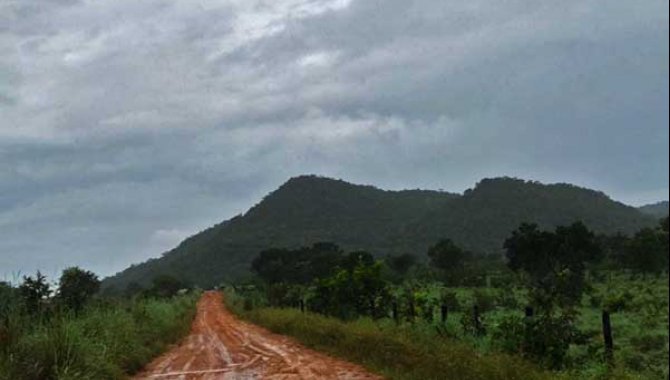 Foto - Imóvel Rural 2.176 ha - Mozarlândia - GO - [9]