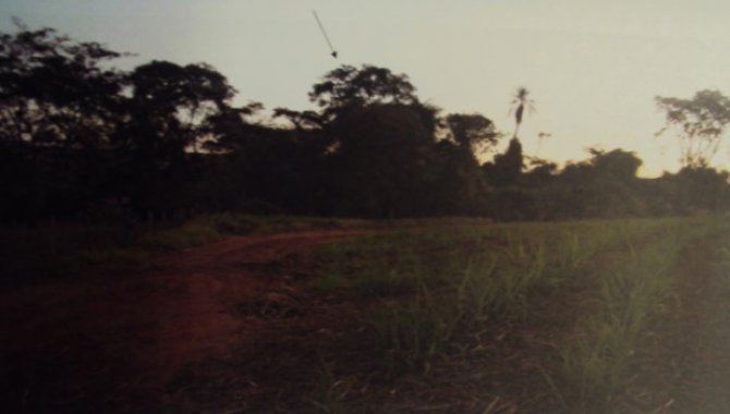 Foto - Parte de 25% de terras na Fazenda Lagoinha 74 hectares Ibitu-SP - [1]