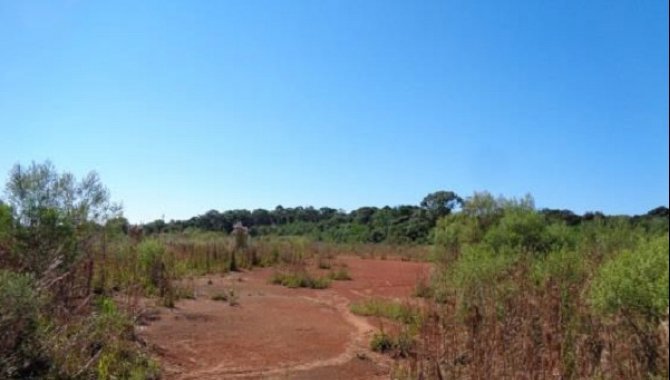 Foto - Terrenos - Estados - Fazenda Rio Grande - PR - [3]