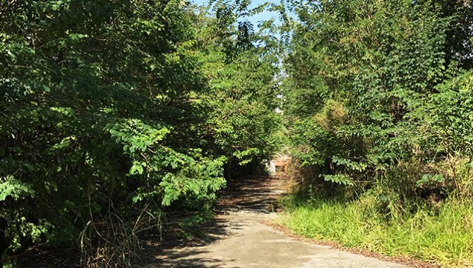 Foto - Terreno com Galpões Industriais 7.823 m² - Araçariguama - SP - [6]