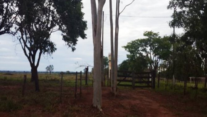 Foto - Imóvel Rural 13 ha - Fazenda Baixotes - Birigui - SP - [1]