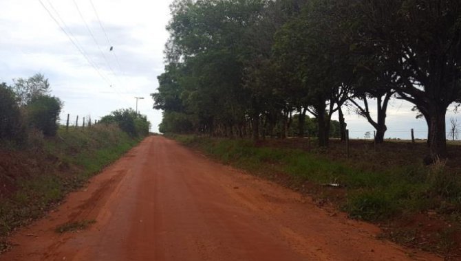 Foto - Imóvel Rural 13 ha - Fazenda Baixotes - Birigui - SP - [2]