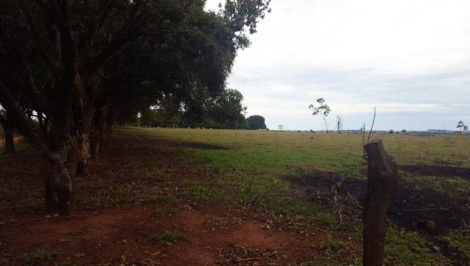 Foto - Imóvel Rural 13 ha - Fazenda Baixotes - Birigui - SP - [7]