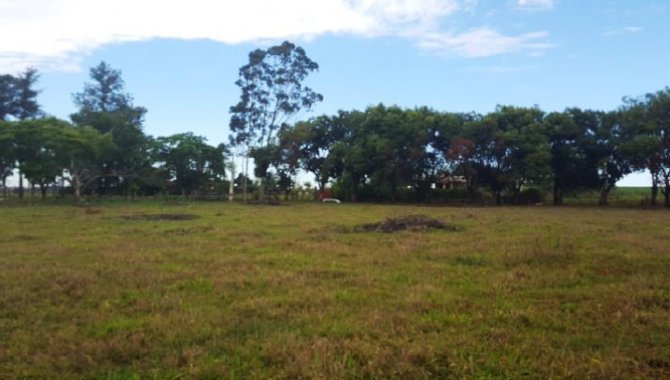 Foto - Imóvel Rural 13 ha - Fazenda Baixotes - Birigui - SP - [3]