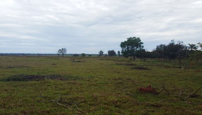 Foto - Imóvel Rural 13 ha - Fazenda Baixotes - Birigui - SP - [4]