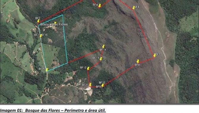 Foto - Área de Terras 99 ha - São Thomé das Letras - MG - [1]