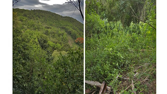 Foto - Área de Terras 60.711 m² - Caxias do Sul - RS - [3]