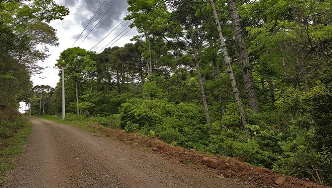 Foto - Área de Terras 60.711 m² - Caxias do Sul - RS - [2]