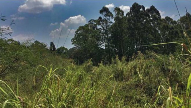 Foto - Terreno 19.530 m² - Itaquera - São Paulo - SP - [6]