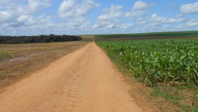 Foto - Imóvel Rural 1.461 ha - Diamantino - MT - [9]