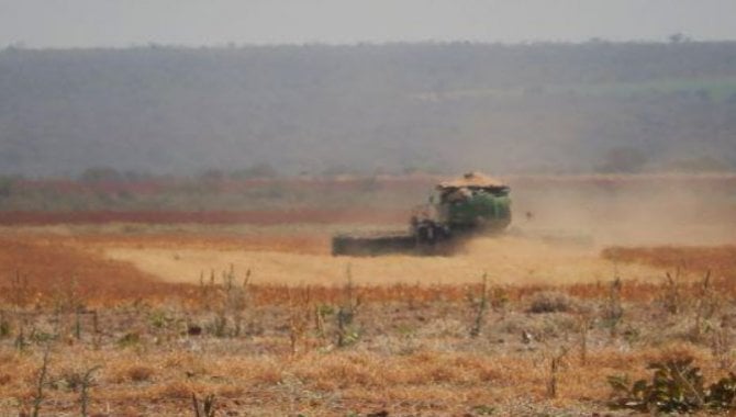 Foto - Leilão de 02 Fazendas - Barreiras - BA - [3]