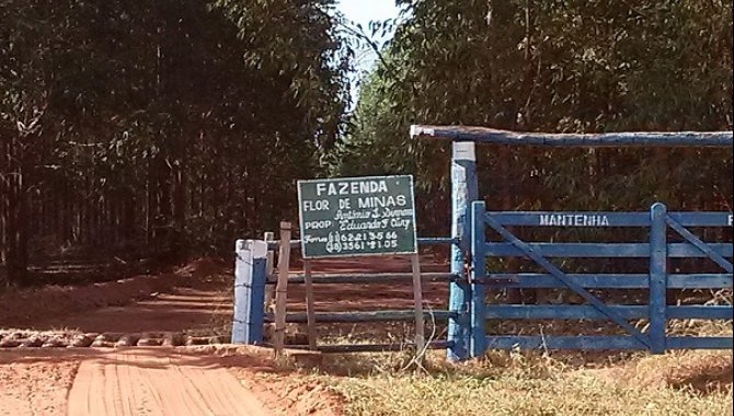 Foto - Parte Ideal de Fazenda com 311 Hectares - João Pinheiro - MG - [1]