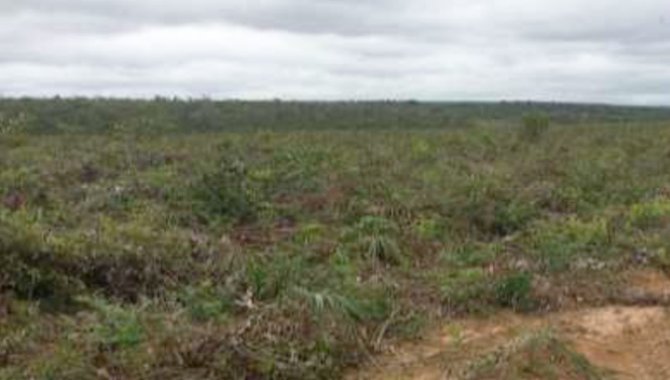 Foto - Imóvel Rural 200,0923 ha - Fazenda São Mateus - Loreto - MA - [1]