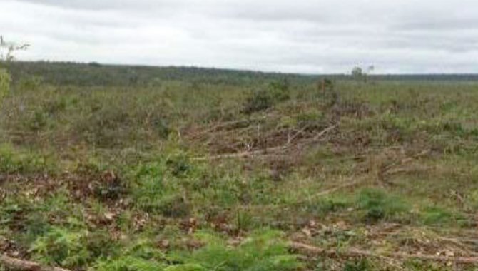 Foto - Imóvel Rural 200,0923 ha - Fazenda São Mateus - Loreto - MA - [2]