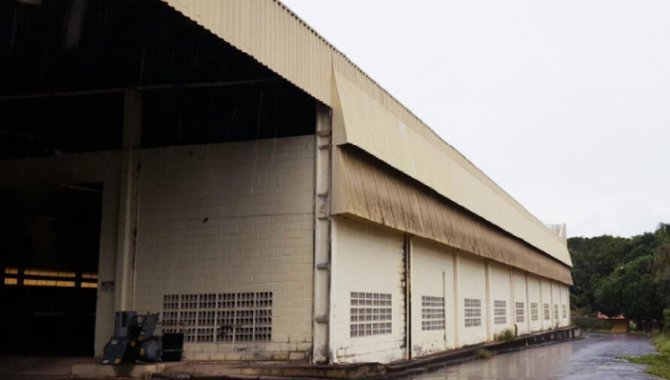 Foto - Imóvel Industrial 10 ha - Santarém - PA - [15]