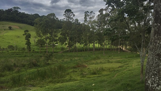 Foto - Imóvel Rural 225 ha - Agudo - Socorro - SP - [5]