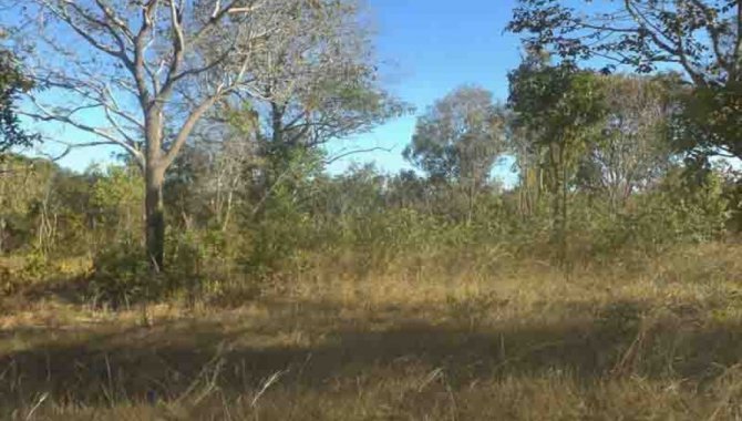 Foto - Áreas de Terras 15 ha (Chácara 24) - Fazenda Panambyh - Palmas - TO - [2]