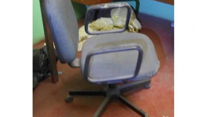 Foto - 12 Cadeiras Giratórias - [1]