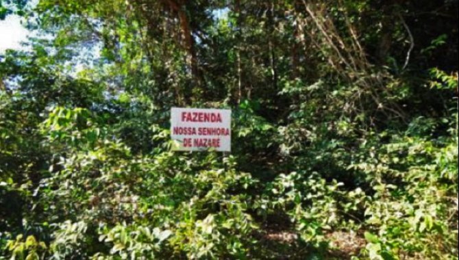 Foto - Fazenda Nossa Senhora de Nazaré 1.210 ha - Marcelândia - MT - [2]