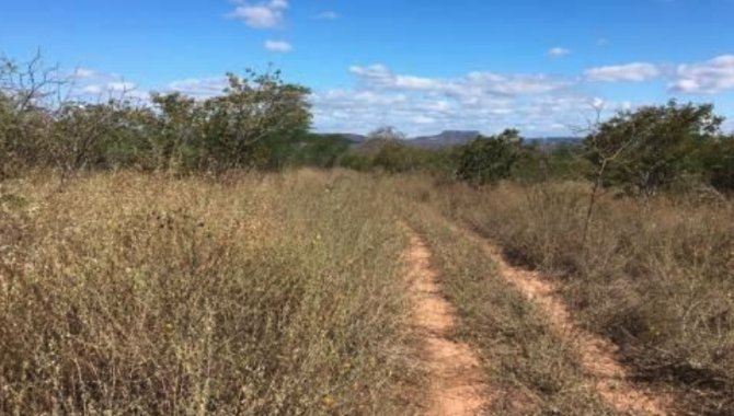 Foto - Fazenda, Comercial, Rural - [5]