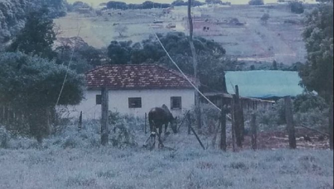 Foto - 25% Terreno Rural 17.646 m² - Água do Veloso - Garça - SP - [1]