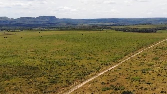 Foto - Fazenda Rio Bonito 9.706 ha - Campos Lindos - TO - [7]