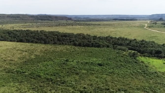 Foto - Fazenda Rio Bonito 9.706 ha - Campos Lindos - TO - [1]