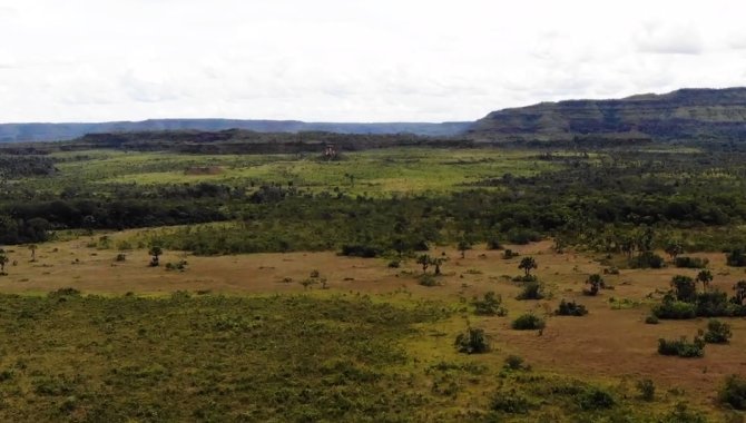 Foto - Fazenda Rio Bonito 9.706 ha - Campos Lindos - TO - [5]