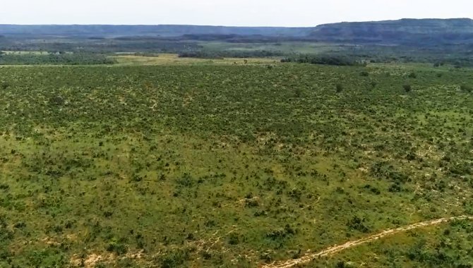 Foto - Fazenda Rio Bonito 9.706 ha - Campos Lindos - TO - [4]