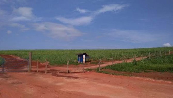 Foto - UPI Capitão - Guaranésia - MG - Imóvel Rural 204 ha - [3]