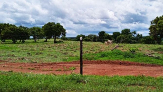 Foto - Área Rural 41 ha - Fazenda União - Dueré - TO - [1]