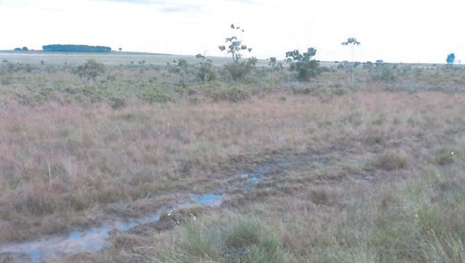 Foto - Fazenda Retiro da Ilha 121.83 ha - Ponta Porã - MS - [5]